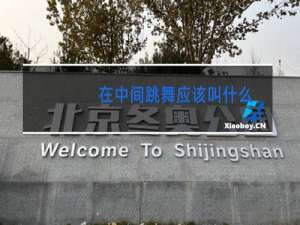 在中间跳舞应该叫什么