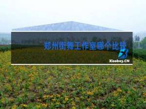 郑州街舞工作室哪个比较好