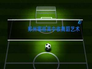 郑州哪些高中收舞蹈艺术生