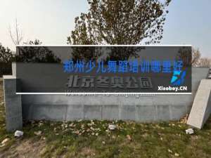 郑州少儿舞蹈培训哪里好
