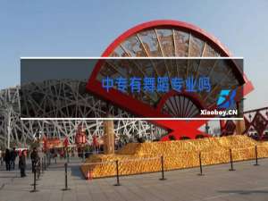 中专有舞蹈专业吗