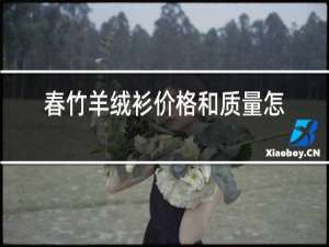 春竹羊绒衫价格和质量怎么样