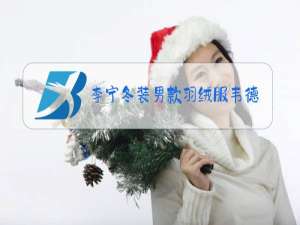 李宁冬装男款羽绒服韦德款