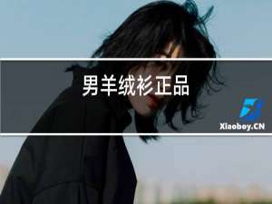 男羊绒衫正品