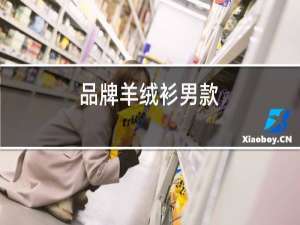 品牌羊绒衫男款