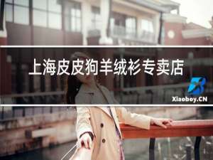 上海皮皮狗羊绒衫专卖店地址