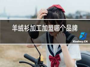 羊绒衫加工加盟哪个品牌好