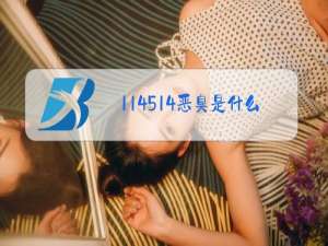 114514恶臭是什么梗