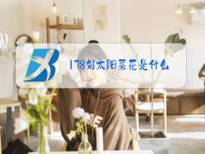 178刘太阳菜花是什么梗