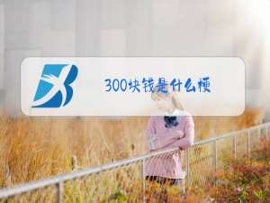 300块钱是什么梗