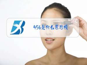 456是什么意思梗