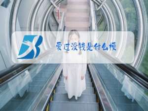 爱过没钱是什么梗