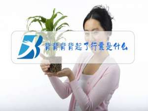 背背背背起了行囊是什么梗