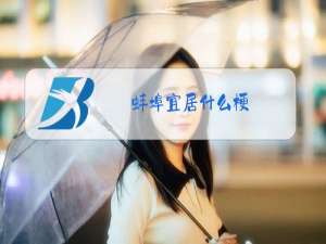 蚌埠宜居什么梗