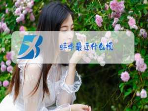 蚌埠最近什么梗