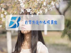 白菜狗是什么梗龚俊