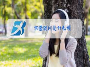 不懂就问是什么梗