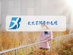 北大石狮子什么梗