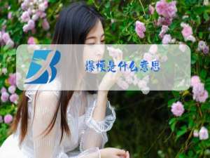 爆梗是什么意思