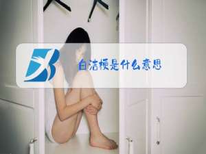 白洁梗是什么意思
