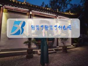 别骂了别骂了什么梗