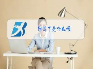 别骂了是什么梗