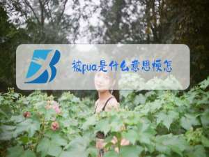 被pua是什么意思梗怎么读