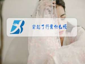 背起了行囊什么梗