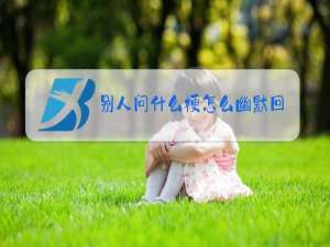 别人问什么梗怎么幽默回复