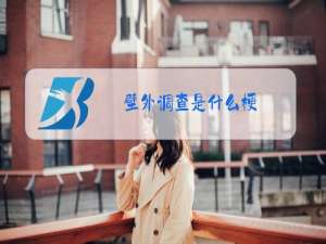 壁外调查是什么梗