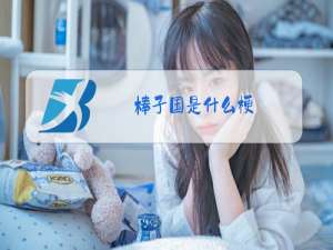 棒子国是什么梗