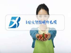 b站火钳刘明什么梗