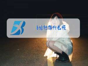 b站社保什么梗