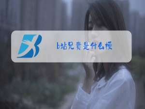 b站兄贵是什么梗