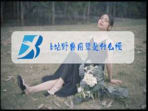 b站野兽前辈是什么梗