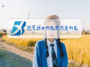 纯爱战士什么意思是什么梗