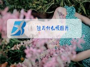 锉刀什么梗图片