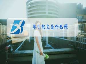 参见教主是什么梗
