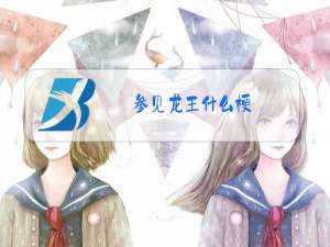 参见龙王什么梗
