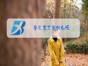 参见龙王是什么梗