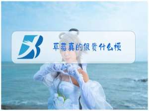 草莓真的很贵什么梗