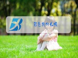 彩色狗什么梗