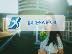 曹县是什么梗视频