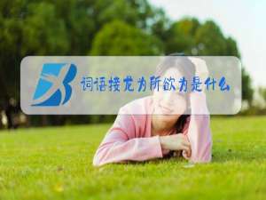 词语接龙为所欲为是什么梗