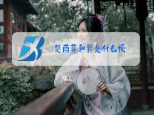 楚雨荨和胃是什么梗