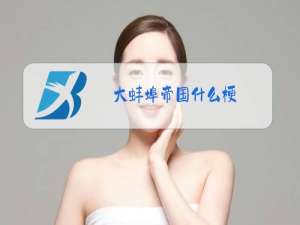 大蚌埠帝国什么梗