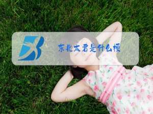 东北太君是什么梗