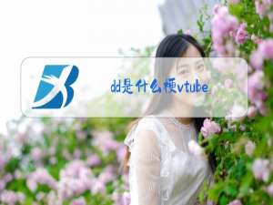 dd是什么梗vtuber