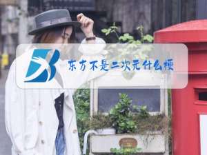 东方不是二次元什么梗