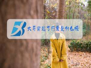 大哥背起了行囊是什么梗